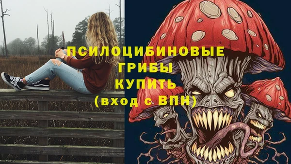 гидра Алексеевка