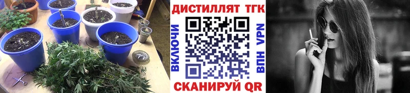 цены   Нефтекумск  Дистиллят ТГК вейп 