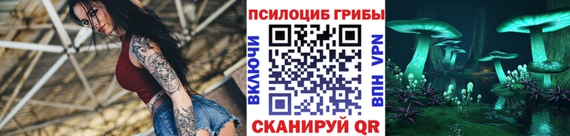 кракен ССЫЛКА  Нефтекумск  маркетплейс телеграм  цены   Псилоцибиновые грибы Psilocybe 